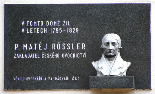 Matej Rossler.jpg